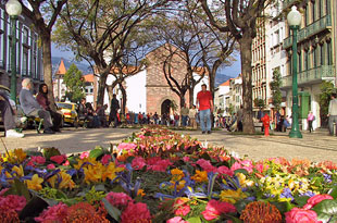 Restaurants in Funchal