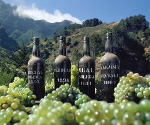 Madeira Wine Madeira Wine